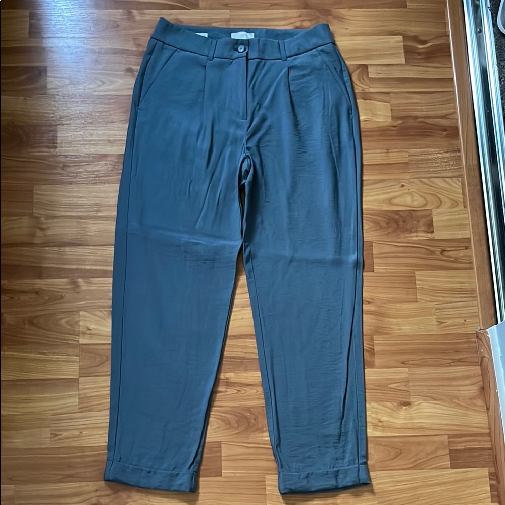 NWOT Loft skinny ankle pants